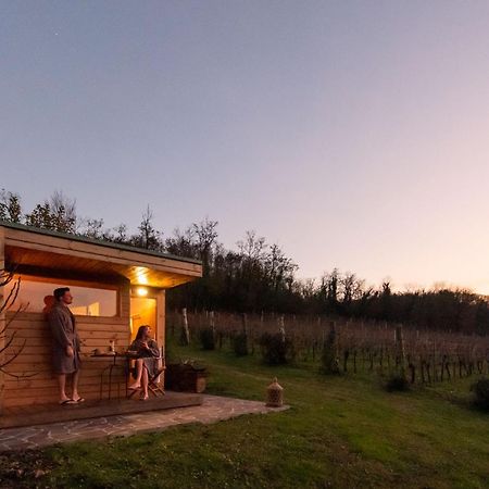 Agriturismo Terre Bianche Teolo Luaran gambar