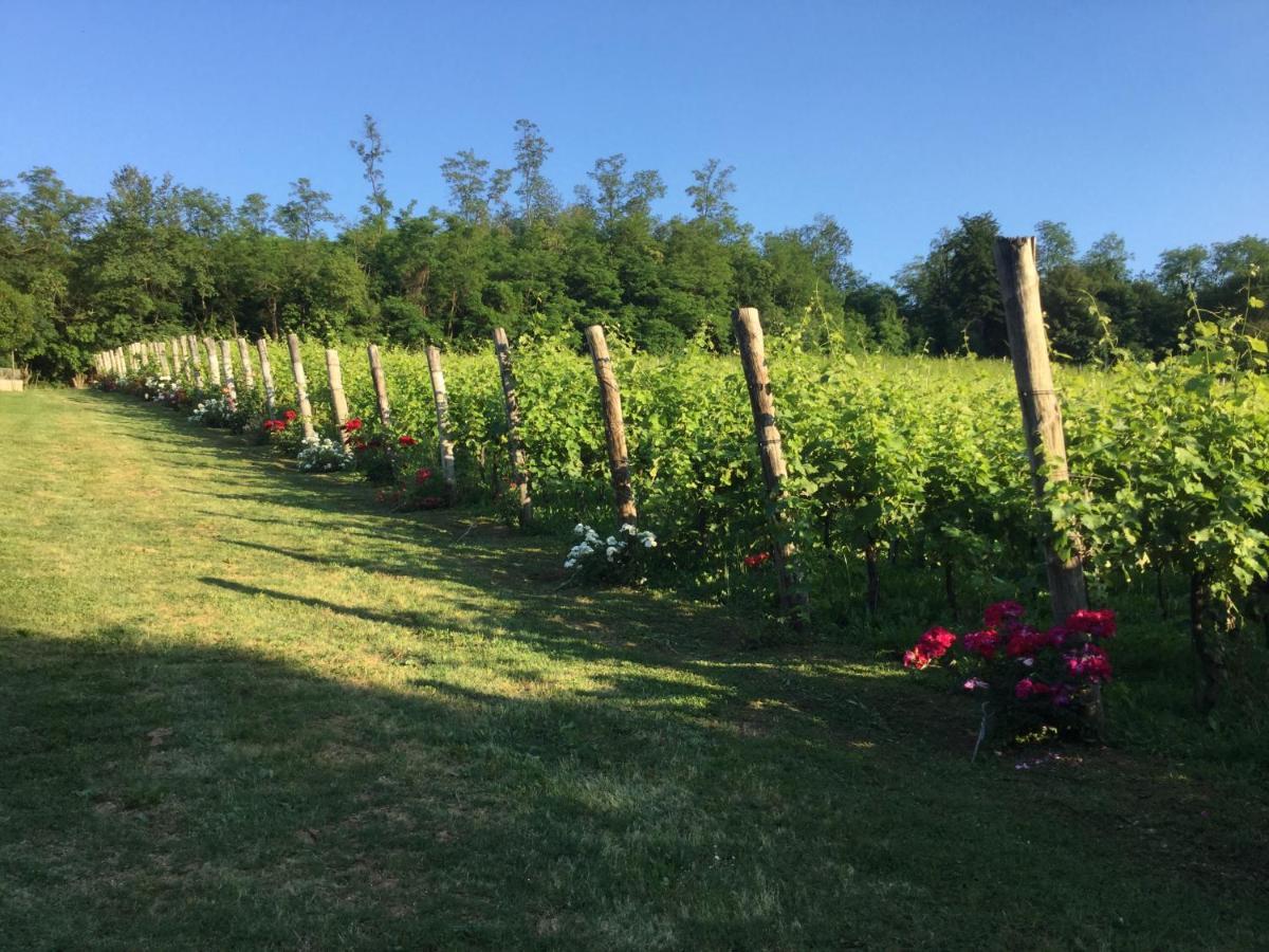 Agriturismo Terre Bianche Teolo Luaran gambar