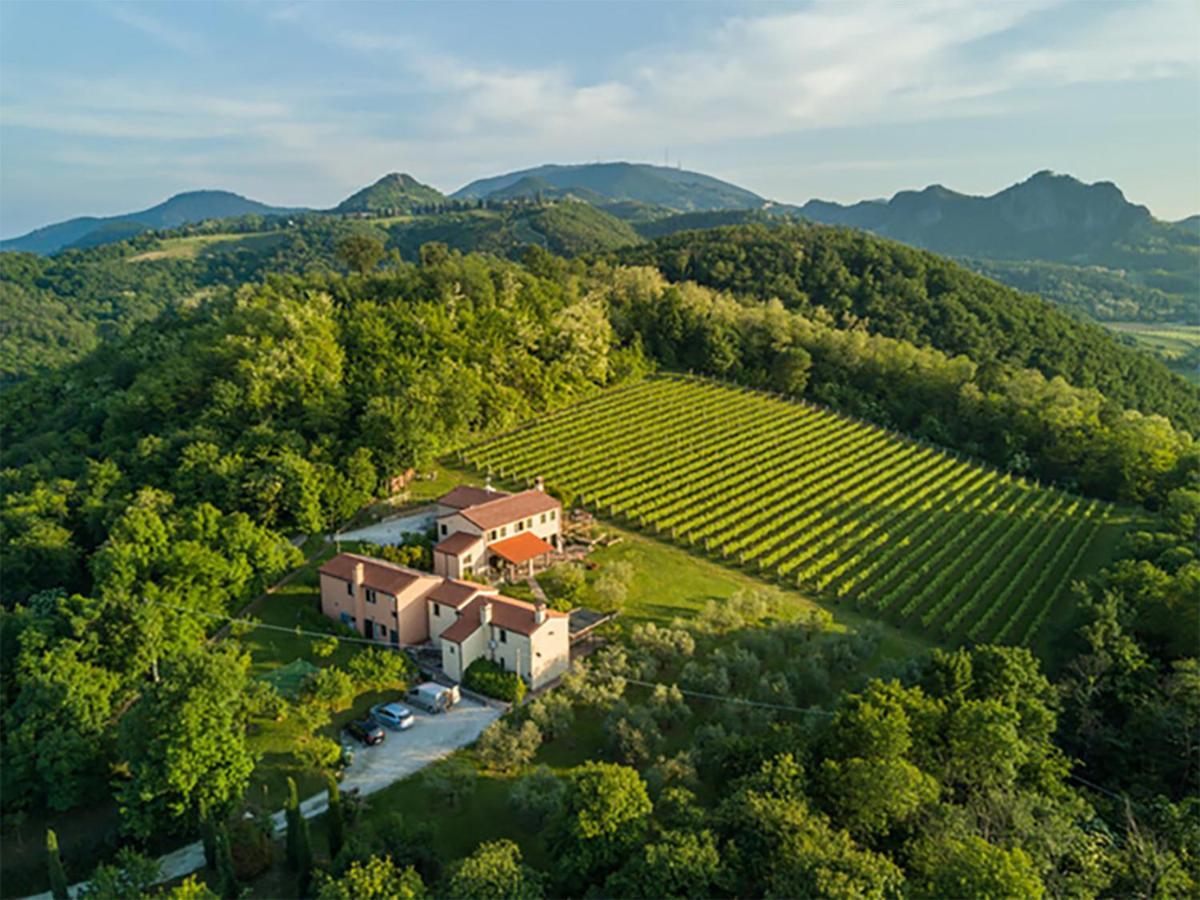 Agriturismo Terre Bianche Teolo Luaran gambar